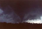Bucca Tornado pic